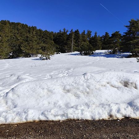 Appartement Greoliere Les Neiges Avec Exterieur Greolieres Εξωτερικό φωτογραφία